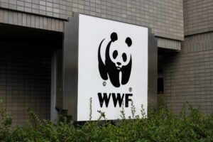 wwf acqua italia