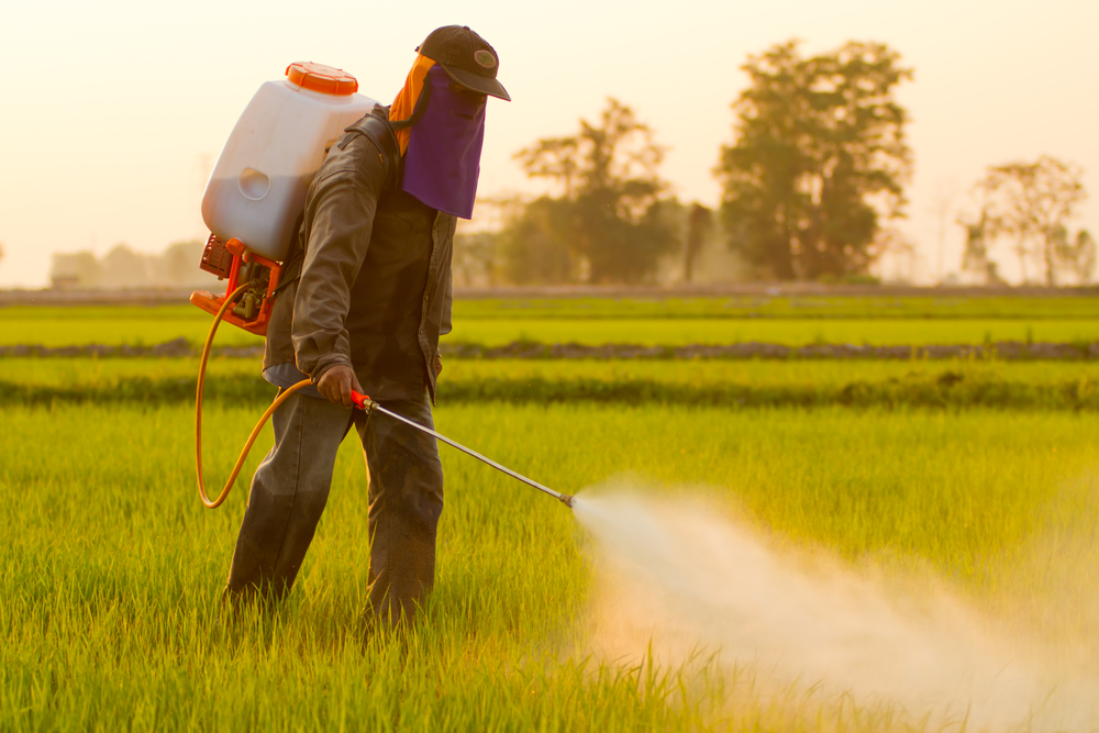 marcia contro pesticidi