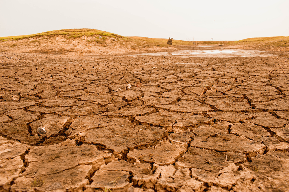 desertificazione