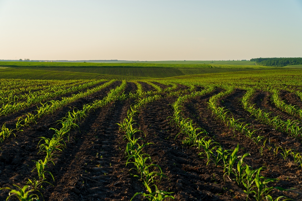 Clima agricoltura Istat