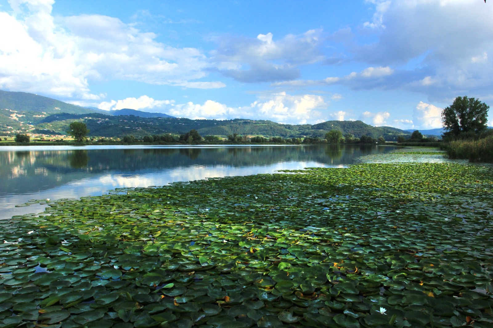 paesaggio rurale