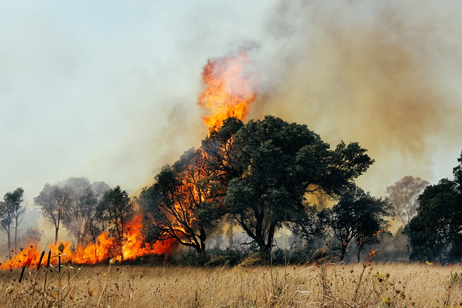 incendio roma