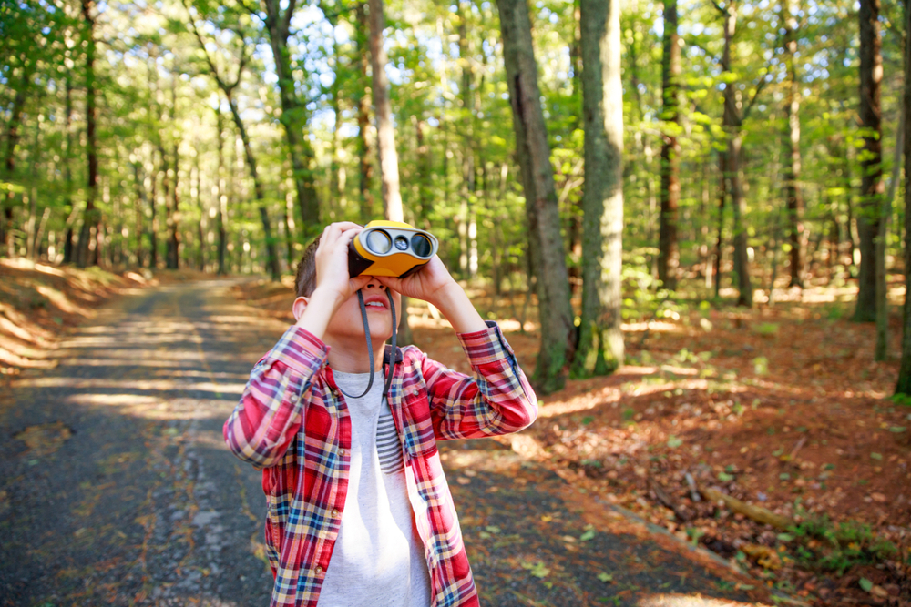 biodiversità Gen Z