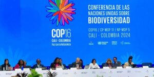 COP16