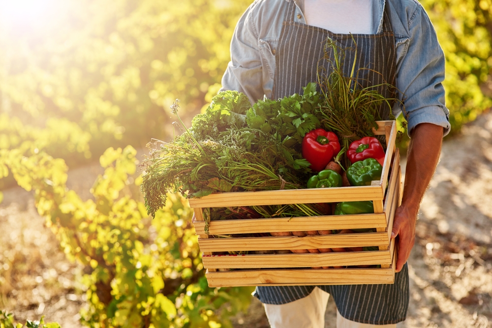 scelte alimentari italiani