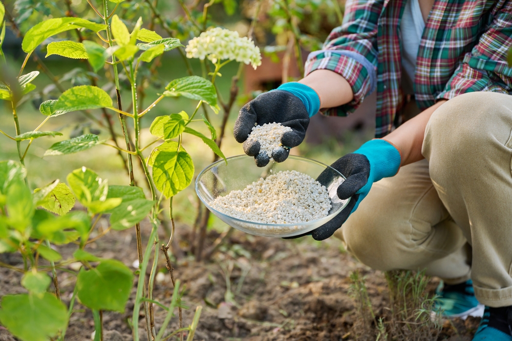 Agrofarmaci fertilizzanti